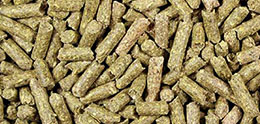 Sheep Feed